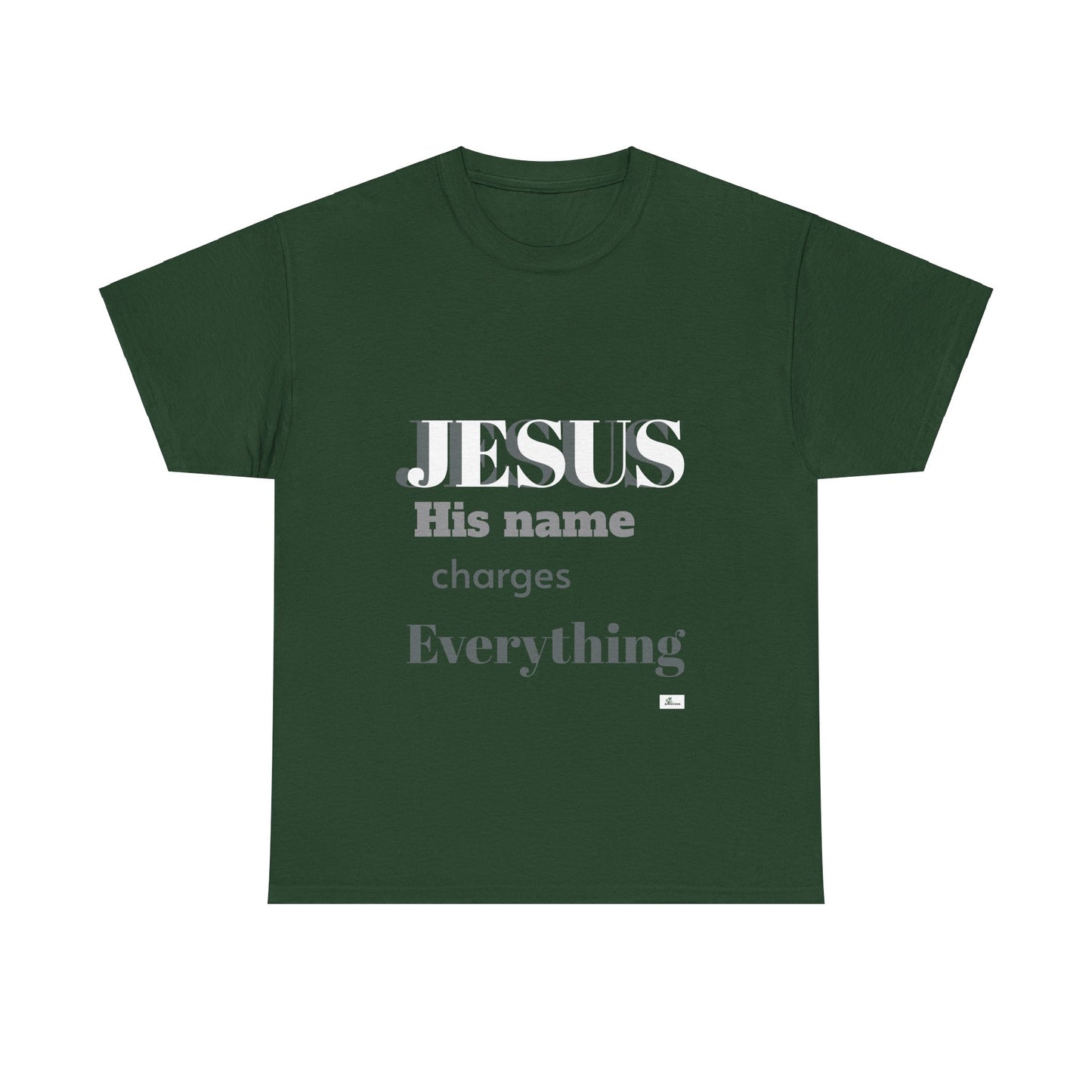 Unisex Heavy Cotton Tee. Jesus His name changes everything. Scripture