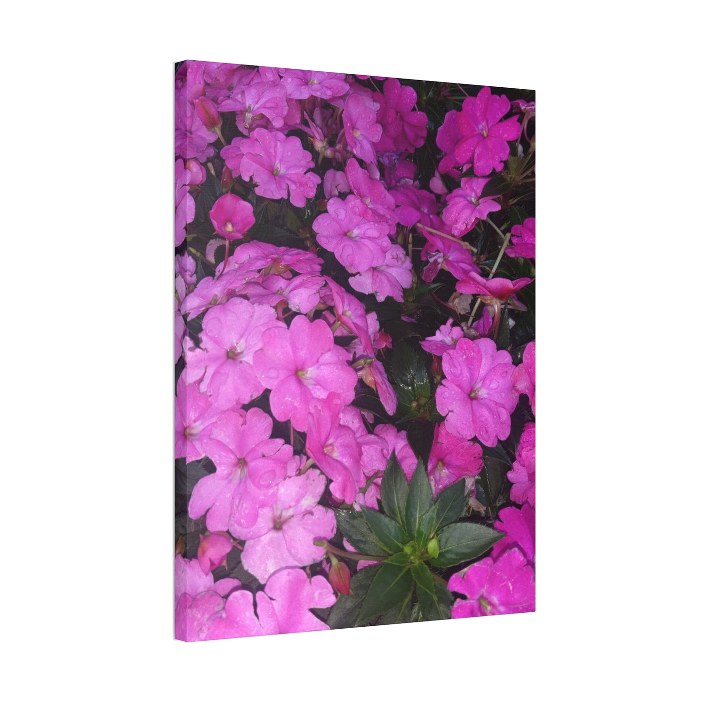 Classic Stretched Canvas