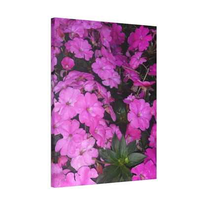 Classic Stretched Canvas