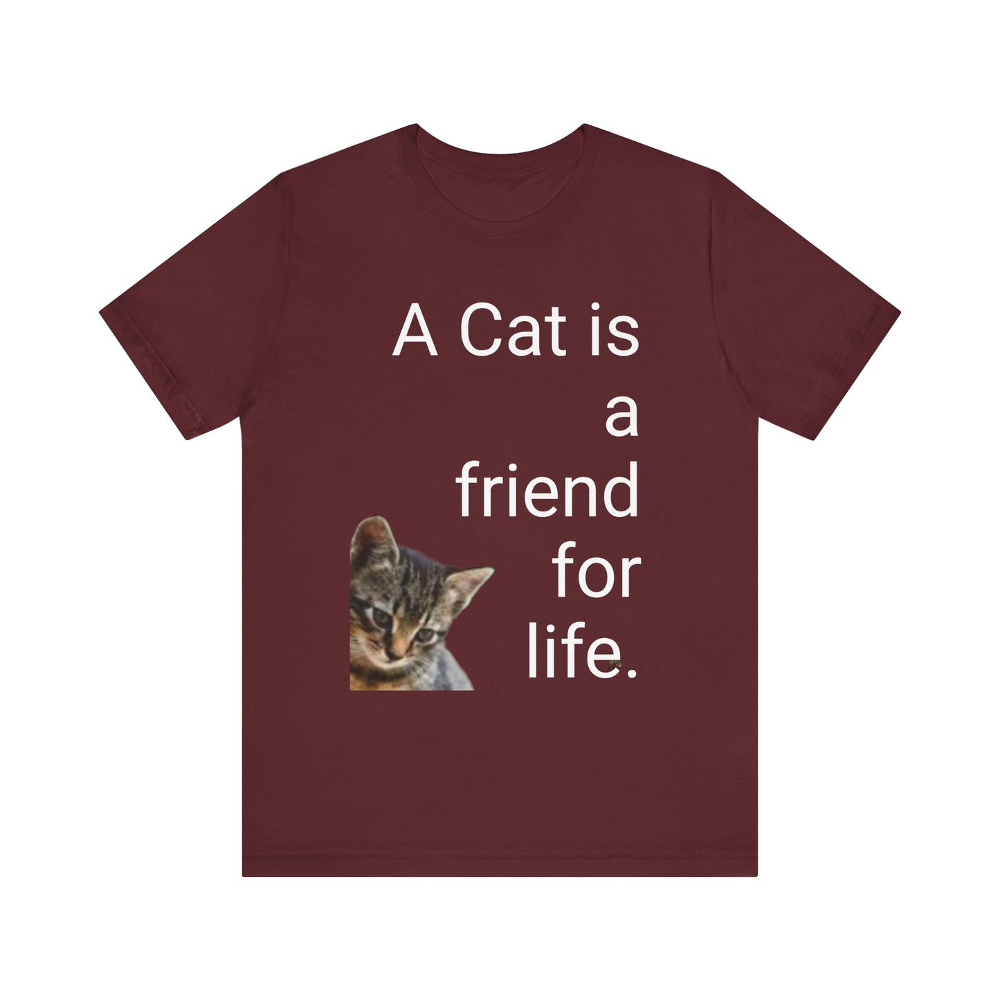 Unisex Jersey Short Sleeve Tee. Cat's are friends for life. with photos of tabby cat