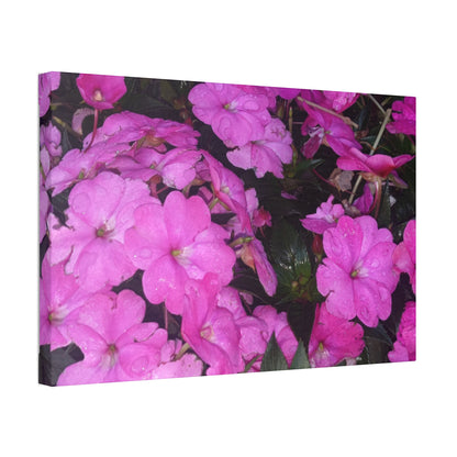 Classic Stretched Canvas