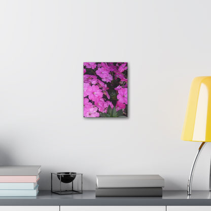 Classic Stretched Canvas