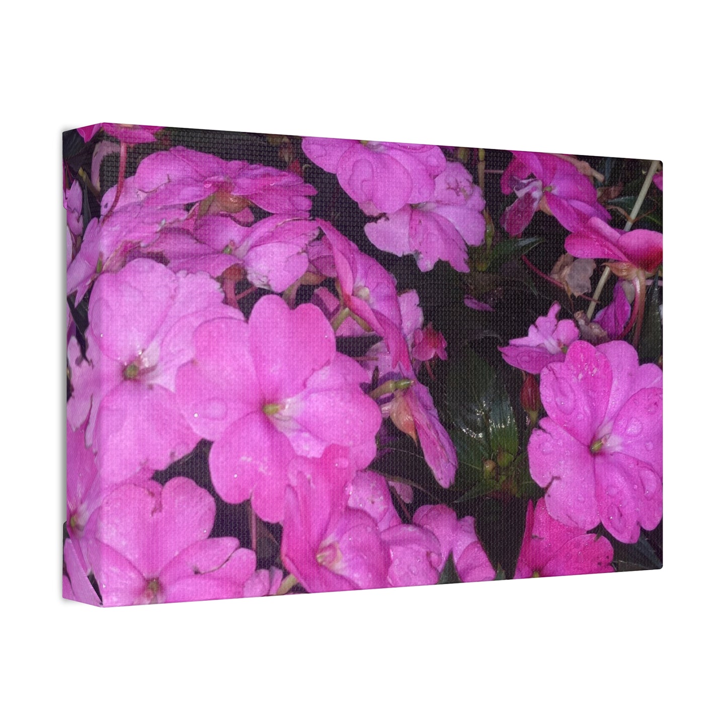 Classic Stretched Canvas