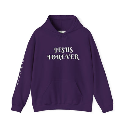 Jesus Forever Unisex Sweatshirt