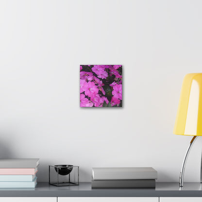 Classic Stretched Canvas