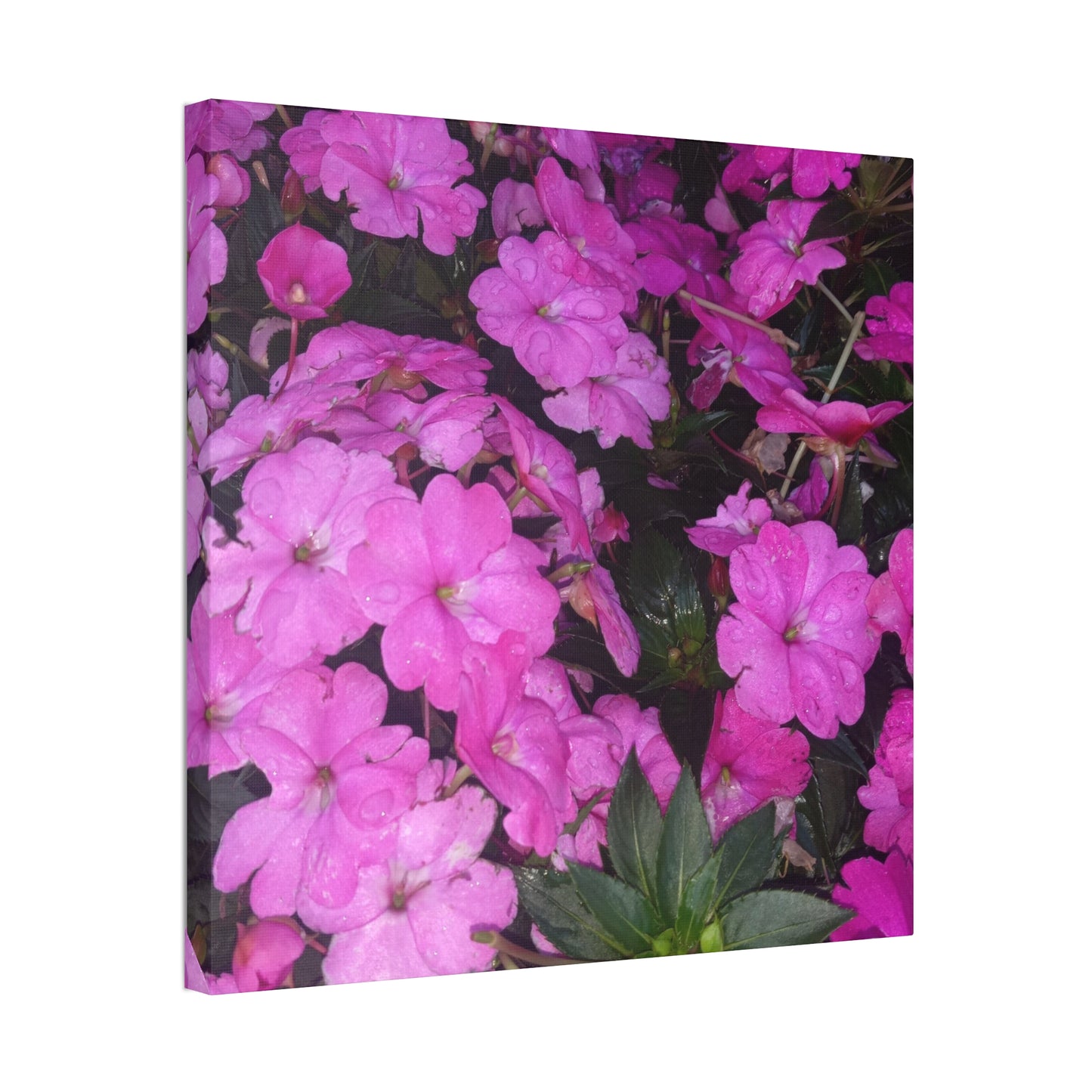 Classic Stretched Canvas