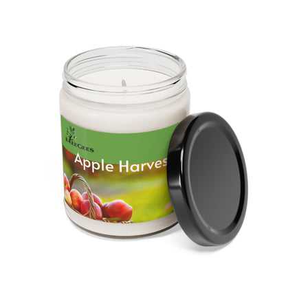 Scented Soy Candle, Apple Harvest 9oz