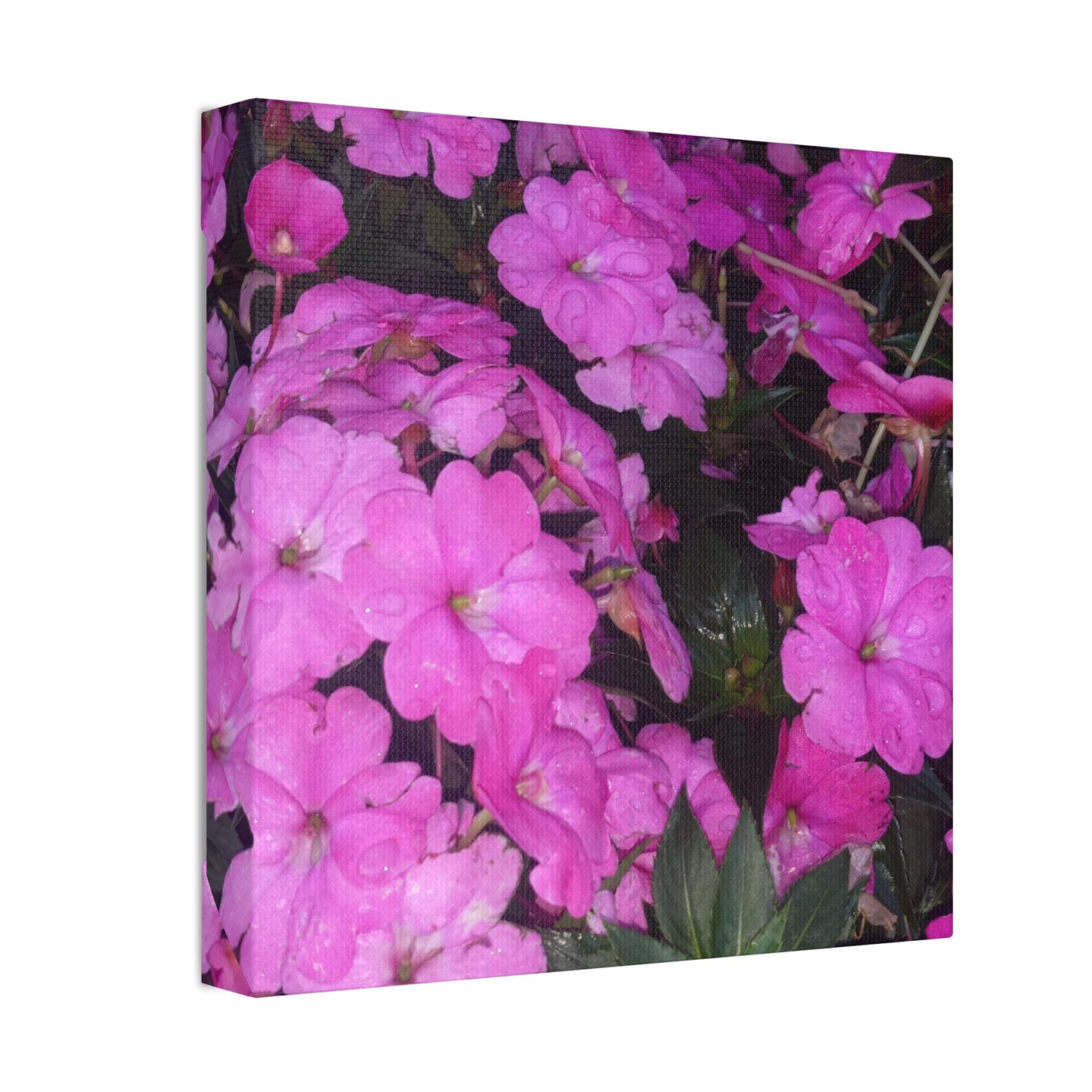 Classic Stretched Canvas