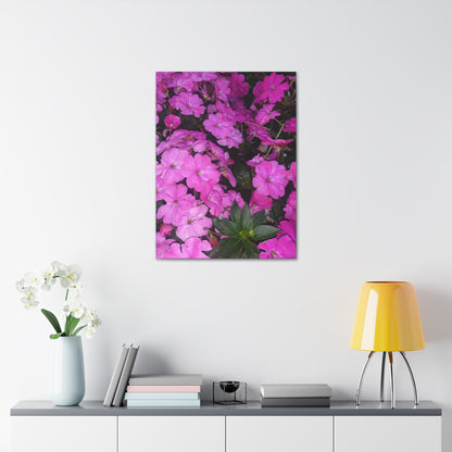 Classic Stretched Canvas