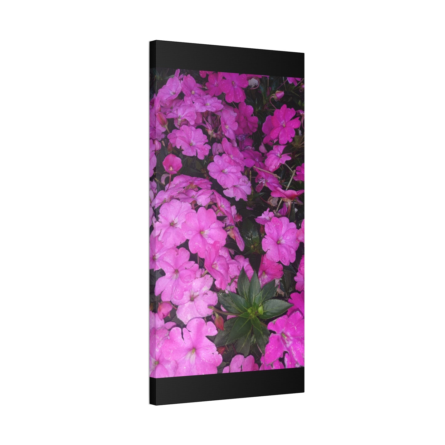 Classic Stretched Canvas