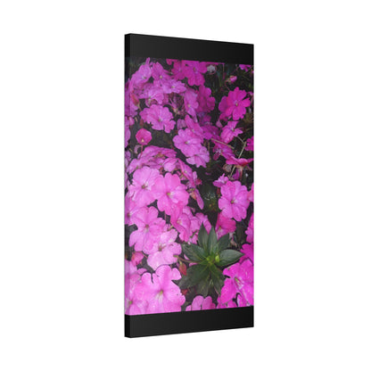 Classic Stretched Canvas