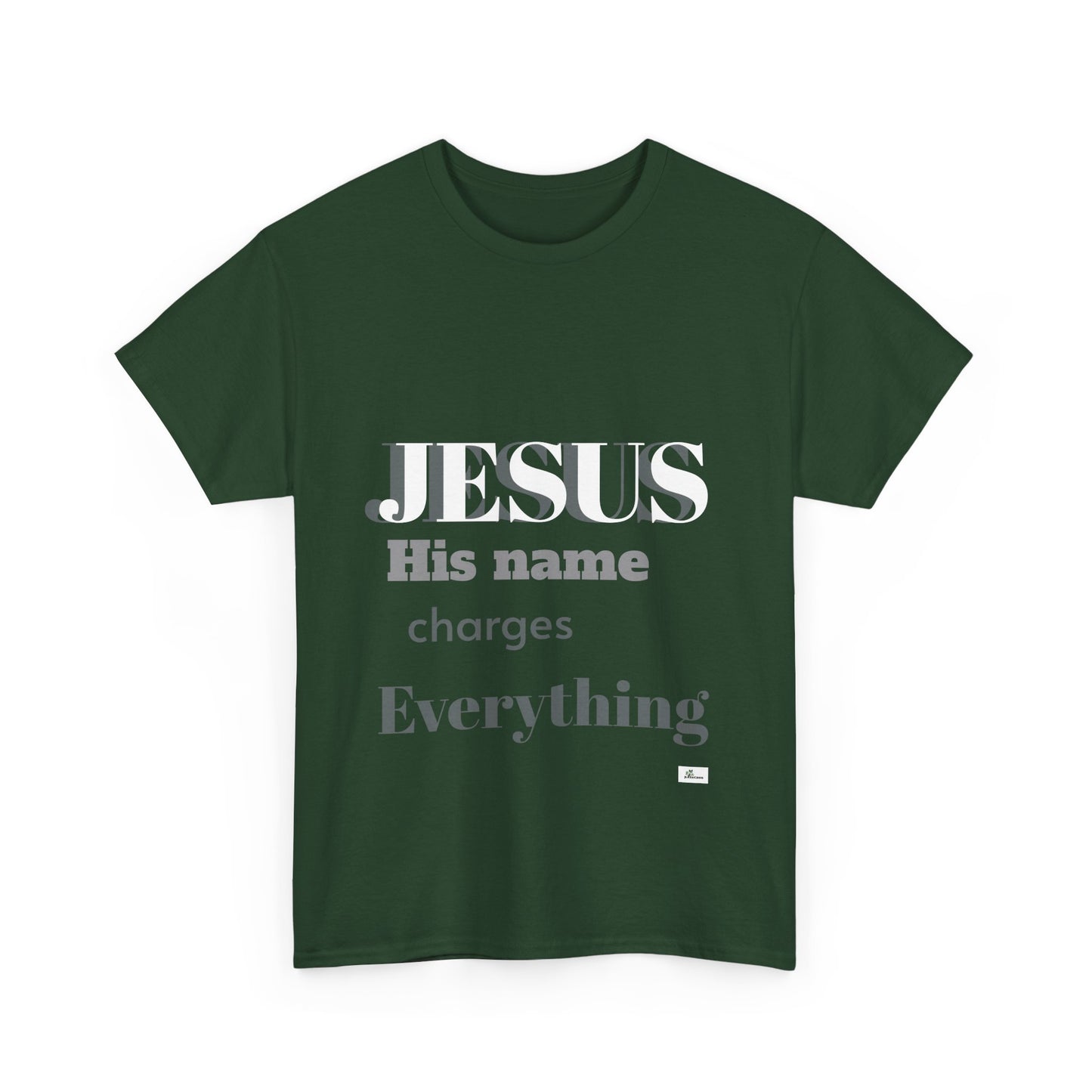 Unisex Heavy Cotton Tee. Jesus His name changes everything.  Scripture