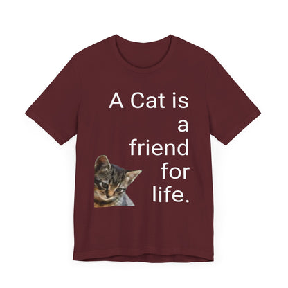 Unisex Jersey Short Sleeve Tee. Cat's are friends for life. with photos of tabby cat