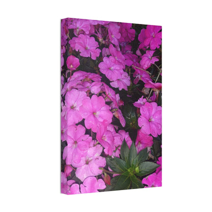 Classic Stretched Canvas