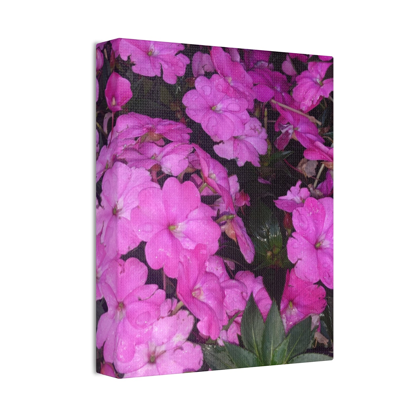 Classic Stretched Canvas