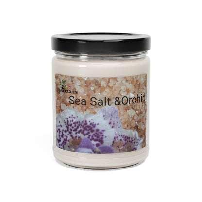 Scented Soy Candle, 9oz Sea salt & orchid