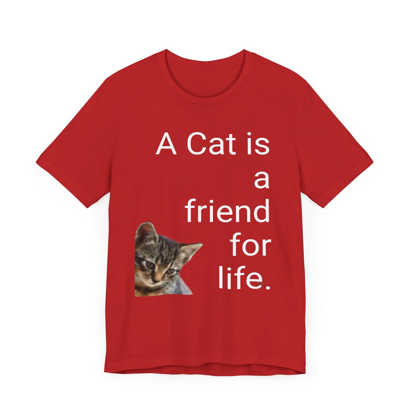 Unisex Jersey Short Sleeve Tee. Cat's are friends for life. with photos of tabby cat