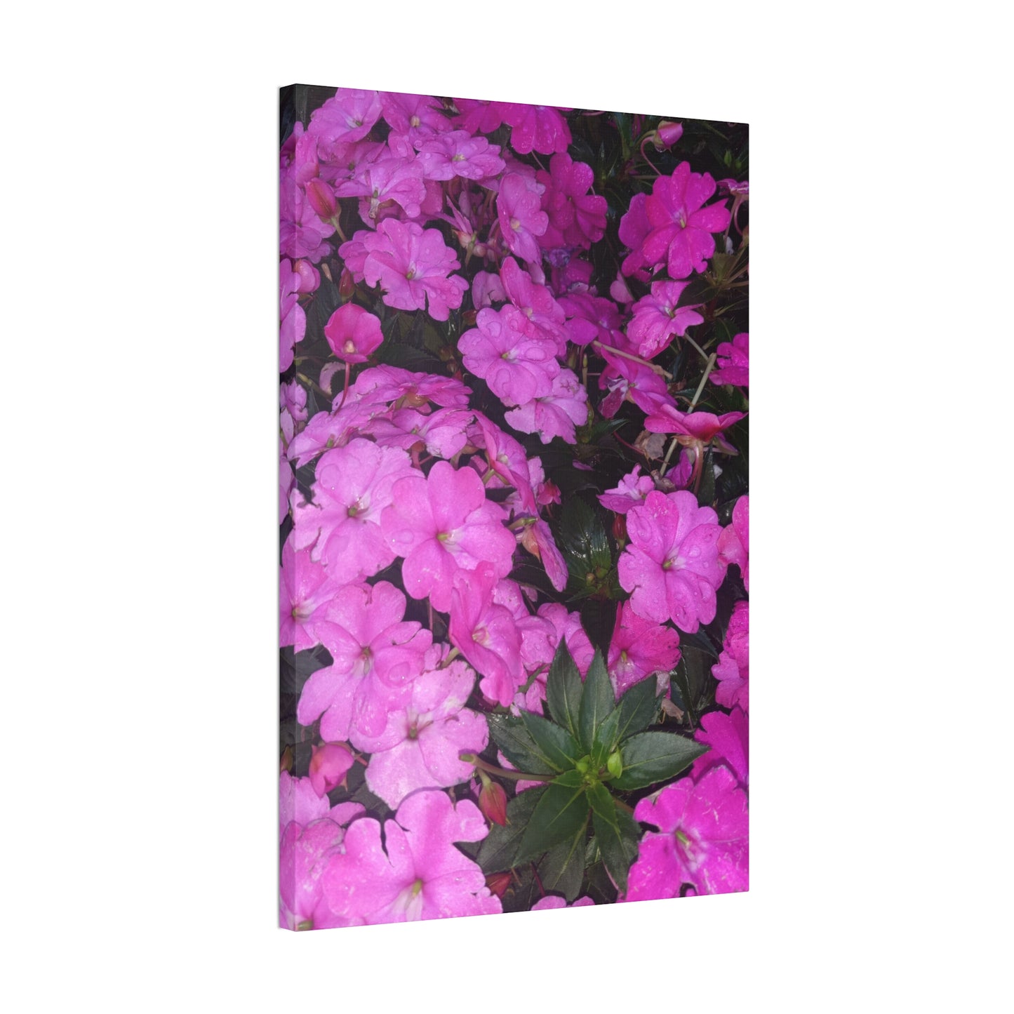 Classic Stretched Canvas