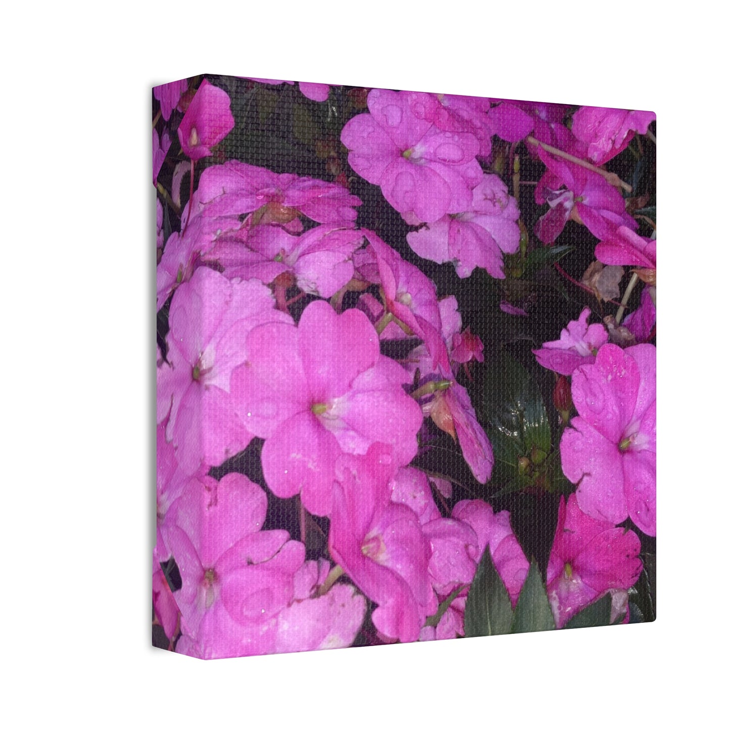 Classic Stretched Canvas