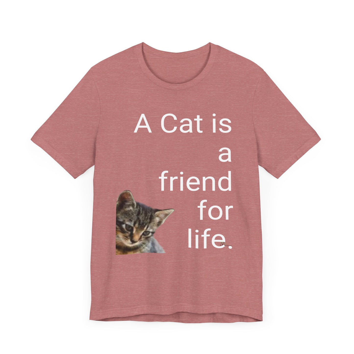 Unisex Jersey Short Sleeve Tee. Cat's are friends for life. with photos of tabby cat