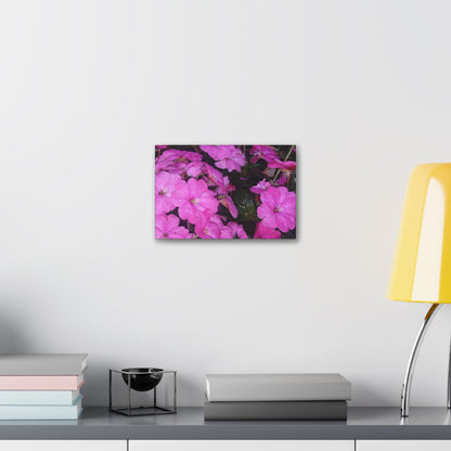 Classic Stretched Canvas