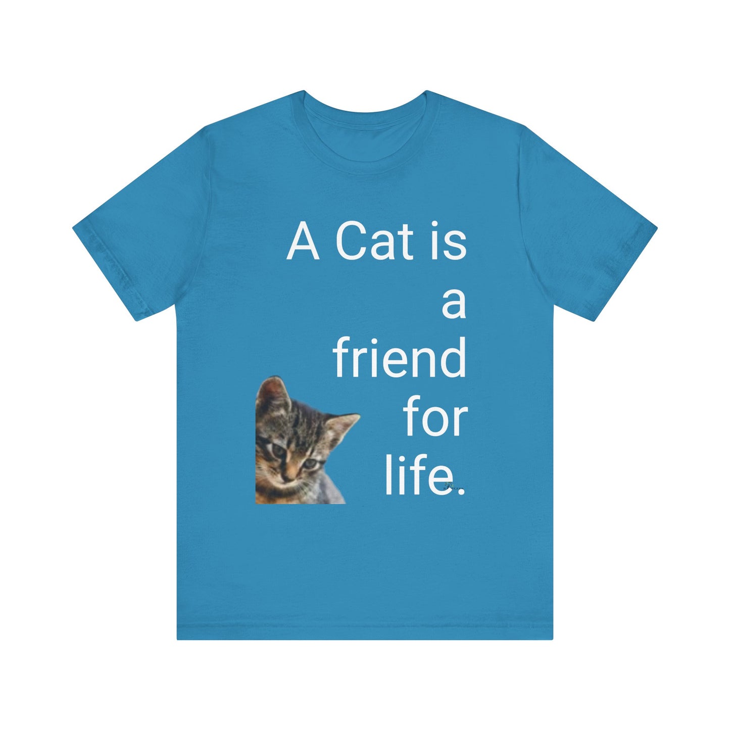 Unisex Jersey Short Sleeve Tee. Cat's are friends for life. with photos of tabby cat