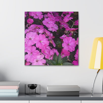 Classic Stretched Canvas