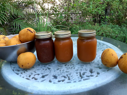 Homemade Mango Preserve